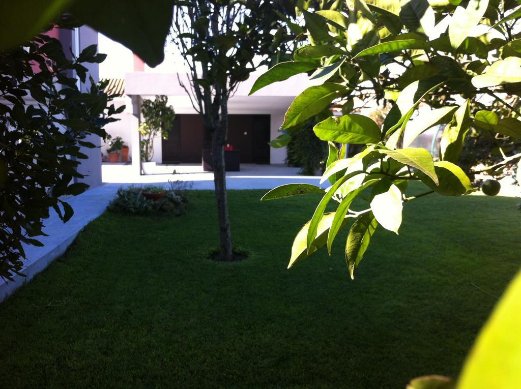 Casa Do Sino De Aveiro Villa Estarreja Cameră foto